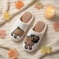 Flat lay chaussons carlin